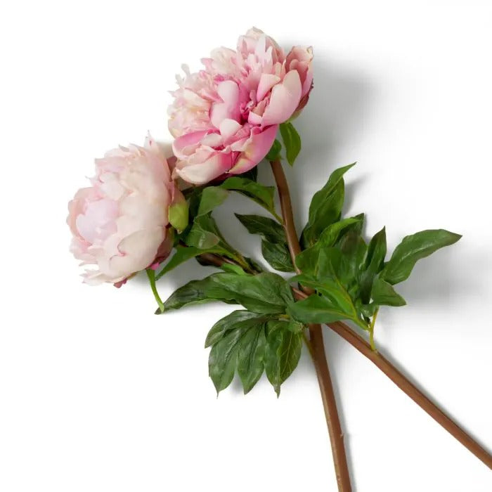 Bouquet of Soft Pink Peonies 48 pcs/2 varieties