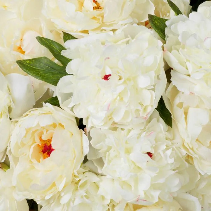 Bouquet of White Peonies 48 pcs/2 varieties