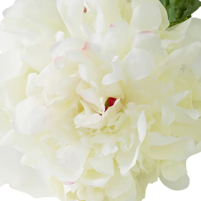 Bouquet of White Peonies 48 pcs/2 varieties