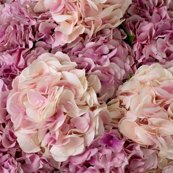 Bouquet of Pink Hydrangeas 48 pcs/2 varieties