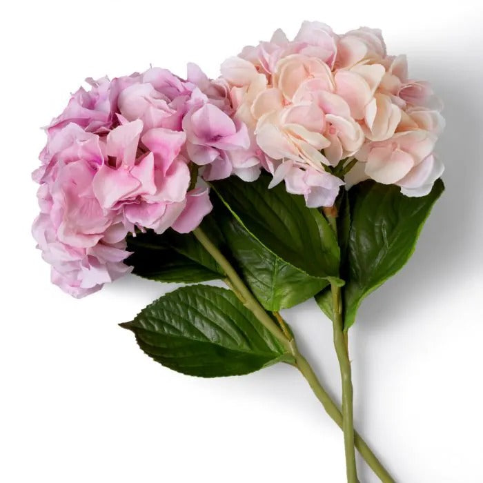 Bouquet of Pink Hydrangeas 48 pcs/2 varieties