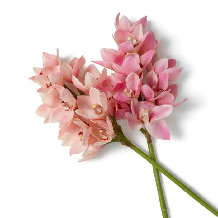 Bouquet of Peach and Pink Cymbidium Orchids 36 pcs