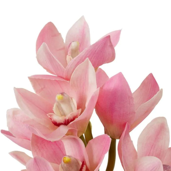 Bouquet of Peach and Pink Cymbidium Orchids 36 pcs