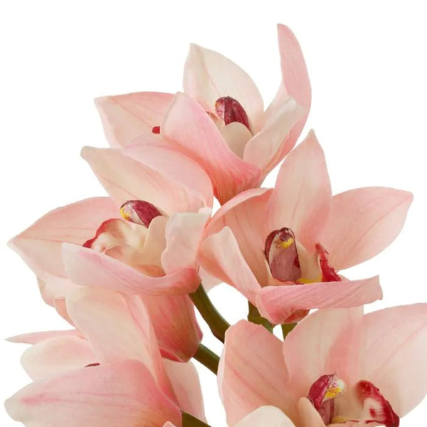 Bouquet of Peach and Pink Cymbidium Orchids 36 pcs