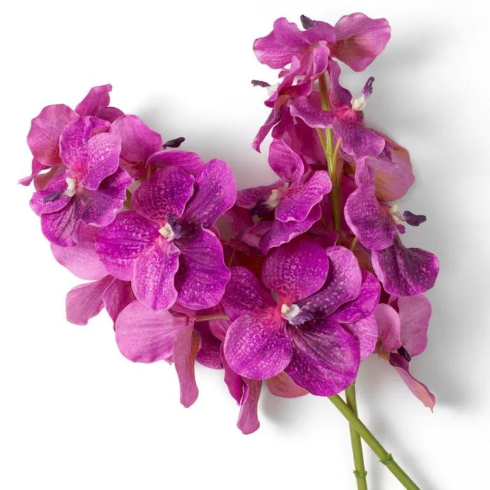 Bouquet of Fuchia Vanda Orchids 24 pcs