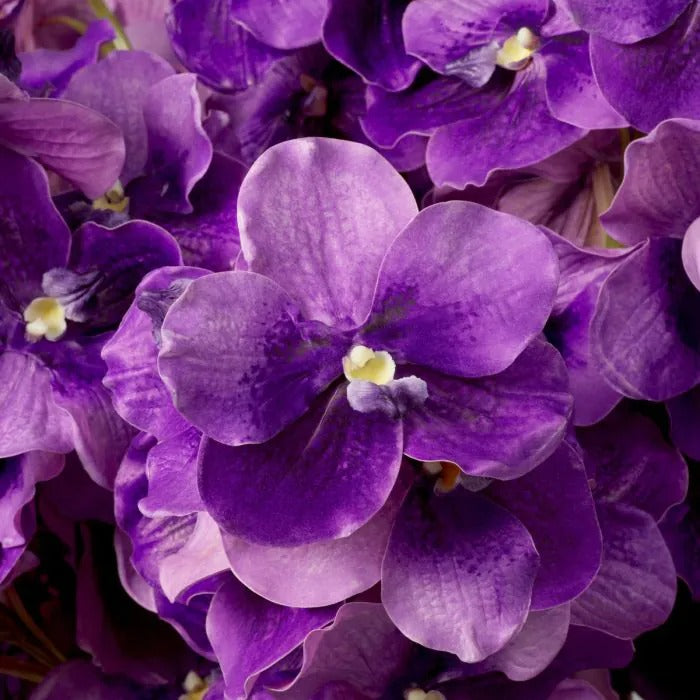 Bouquet of Purple Vanda Orchids 24 pcs