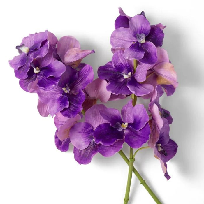 Bouquet of Purple Vanda Orchids 24 pcs