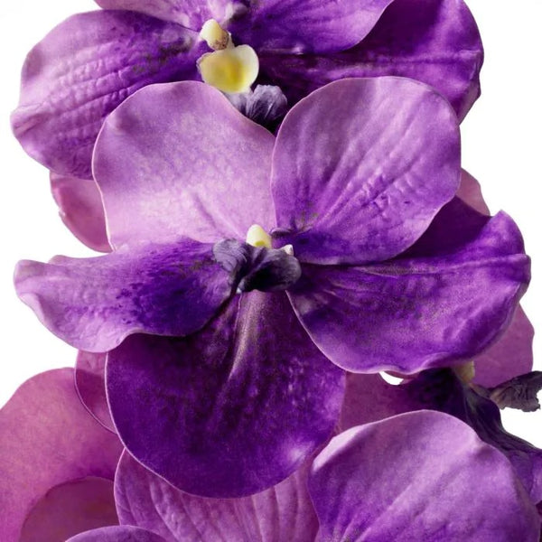 Bouquet of Purple Vanda Orchids 24 pcs