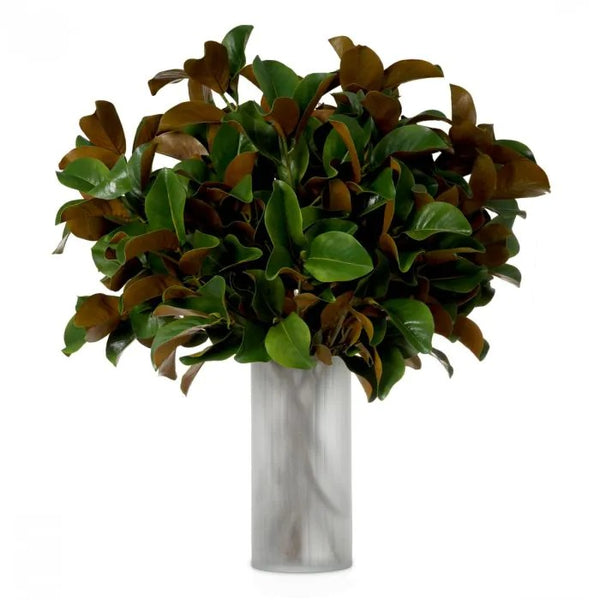 Bundle of Magnolia leaves 24 pcs