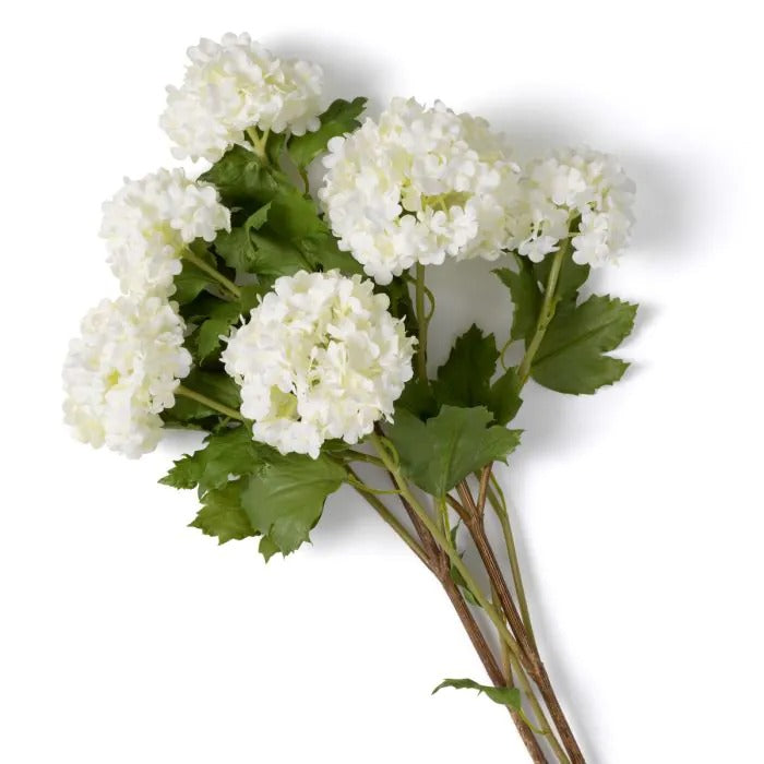 Bouquet of White Hydrangeas snowball 36 pcs