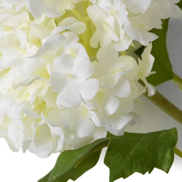 Bouquet of White Hydrangeas snowball 36 pcs