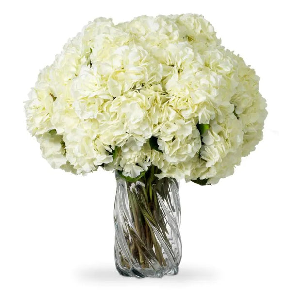 Bouquet of White Hydrangeas 48 pcs/2 varieties