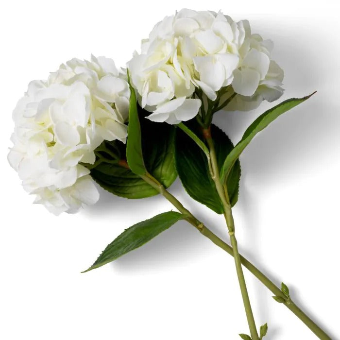 Bouquet of White Hydrangeas 48 pcs/2 varieties