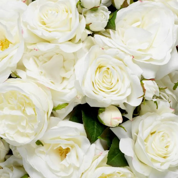 Bouquet of White Roses 72 pcs/3 varieties