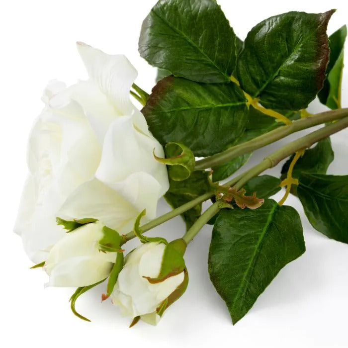 Bouquet of White Roses 72 pcs/3 varieties