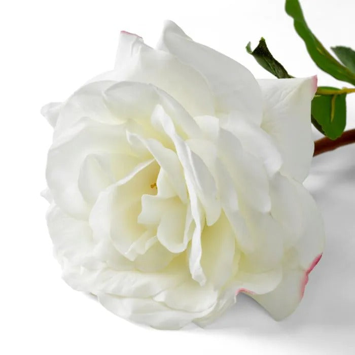 Bouquet of White Roses 72 pcs/3 varieties