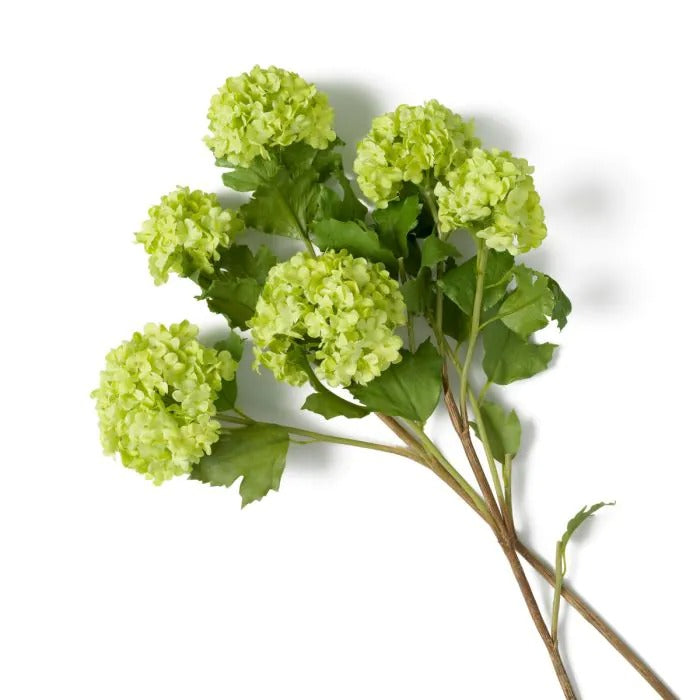 Bouquet of Green Hydrangeas snowball 36 pcs