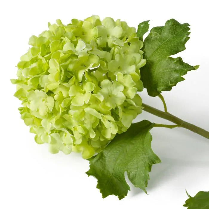 Bouquet of Green Hydrangeas snowball 36 pcs