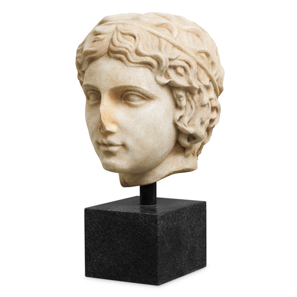 Bust of a youth