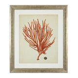 Prints Antique Red Corals Set Of 6