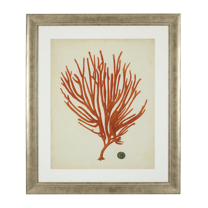 Prints Antique Red Corals Set Of 6