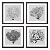 Prints Shadow Sea Fans Set Of 4