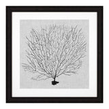 Prints Shadow Sea Fans Set Of 4