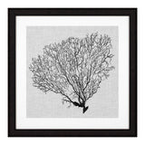 Prints Shadow Sea Fans Set Of 4