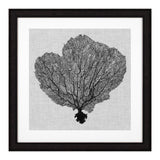 Prints Shadow Sea Fans Set Of 4