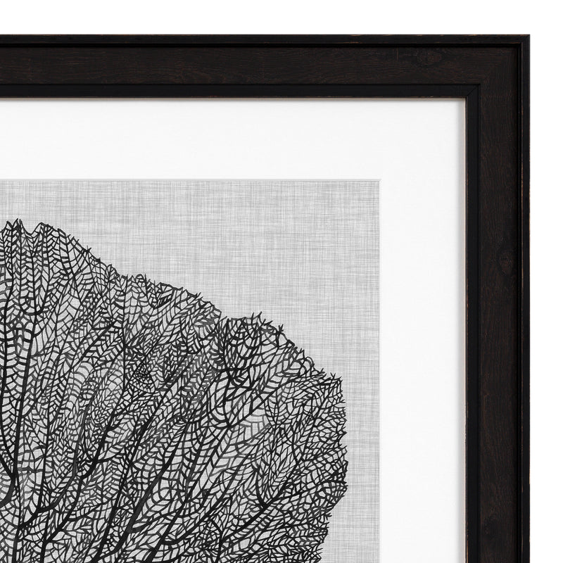 Prints Shadow Sea Fans Set Of 4