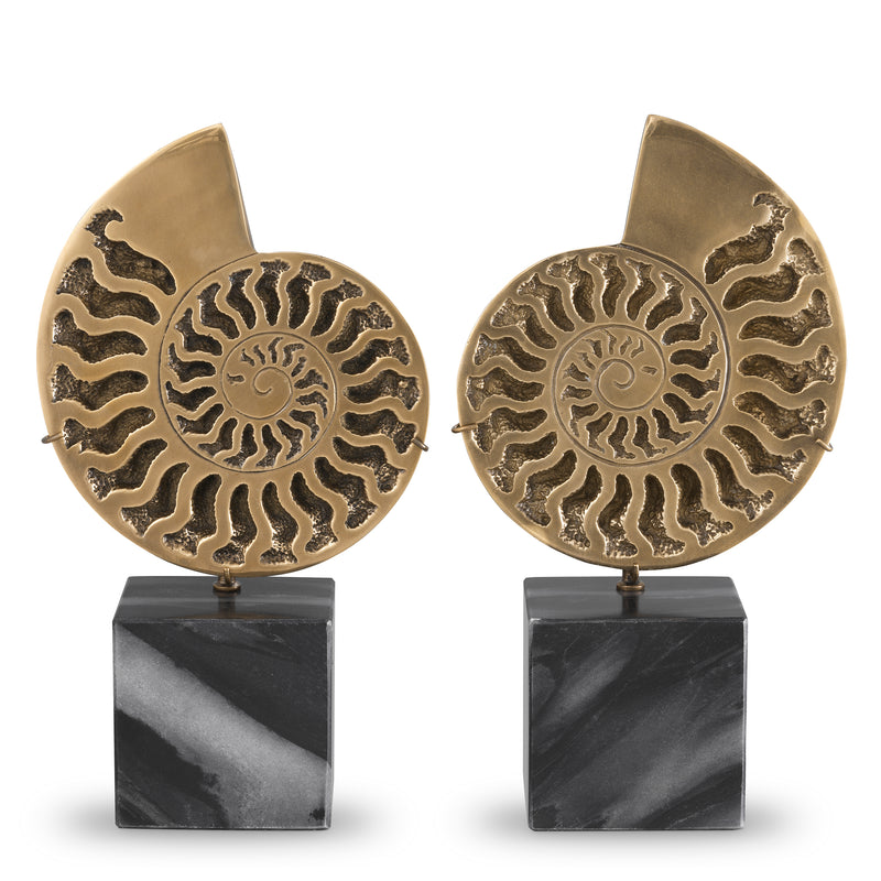 Object Ammonite Set Of 2