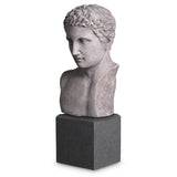 Bust Roman Imperial