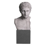 Bust Roman Imperial