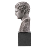 Bust Roman Imperial